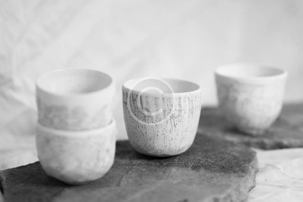 Image 56 Copyright 1024x683